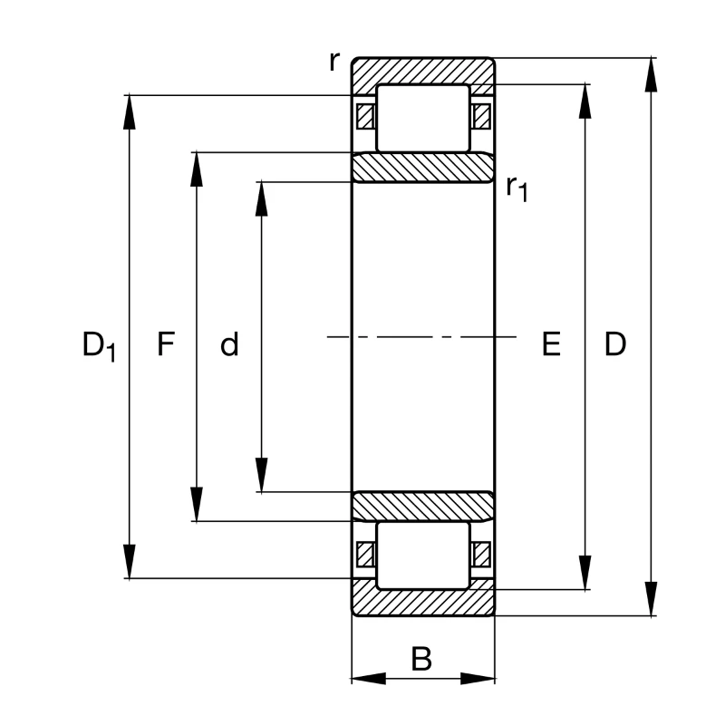 NU210-E-XL-M1-J20A-C4 NU210-E-XL-M1-J20A-C4